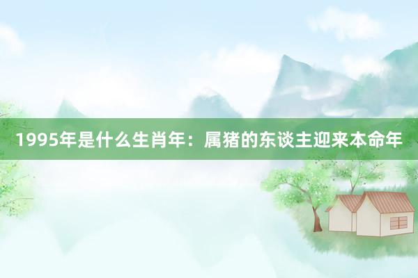 1995年是什么生肖年：属猪的东谈主迎来本命年