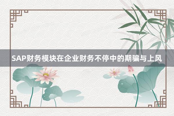 SAP财务模块在企业财务不停中的期骗与上风
